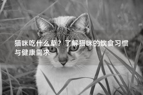 猫咪吃什么草？了解猫咪的饮食习惯与健康需求