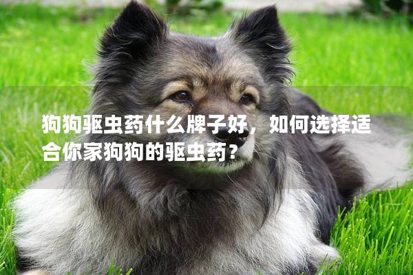 狗狗驱虫药什么牌子好，如何选择适合你家狗狗的驱虫药？