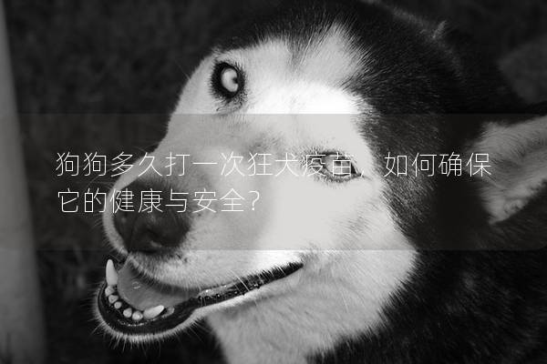狗狗多久打一次狂犬疫苗，如何确保它的健康与安全？