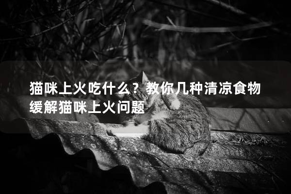 猫咪上火吃什么？教你几种清凉食物缓解猫咪上火问题