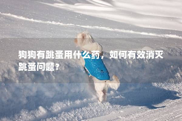 狗狗有跳蚤用什么药，如何有效消灭跳蚤问题？