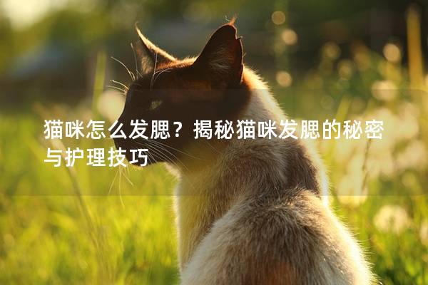 猫咪怎么发腮？揭秘猫咪发腮的秘密与护理技巧