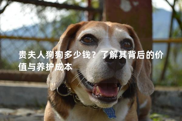 贵夫人狗狗多少钱？了解其背后的价值与养护成本