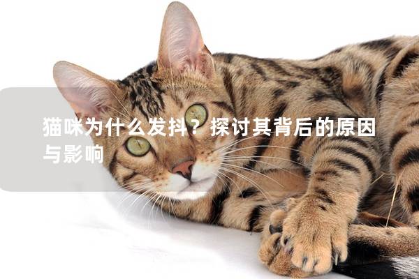 猫咪为什么发抖？探讨其背后的原因与影响