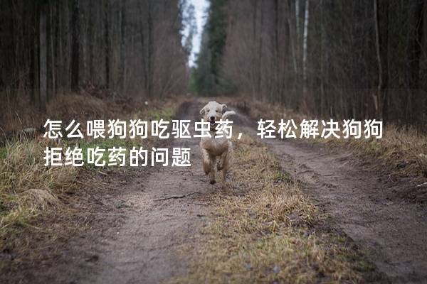 怎么喂狗狗吃驱虫药，轻松解决狗狗拒绝吃药的问题