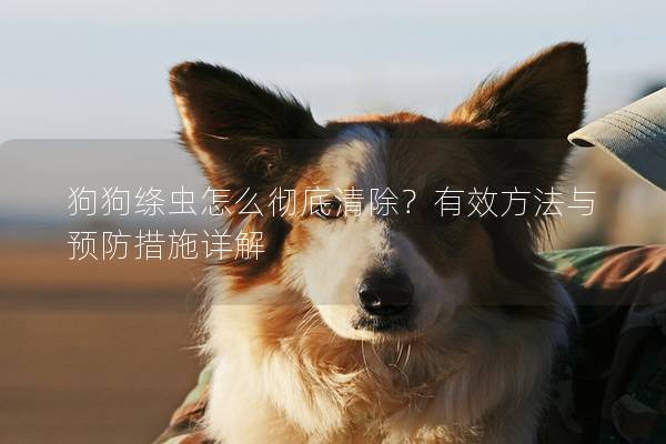 狗狗绦虫怎么彻底清除？有效方法与预防措施详解