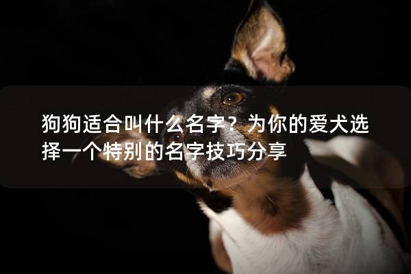 狗狗适合叫什么名字？为你的爱犬选择一个特别的名字技巧分享
