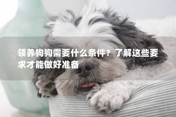 领养狗狗需要什么条件？了解这些要求才能做好准备