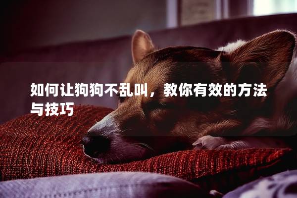 如何让狗狗不乱叫，教你有效的方法与技巧