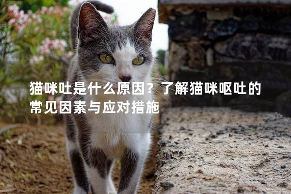 猫咪吐是什么原因？了解猫咪呕吐的常见因素与应对措施