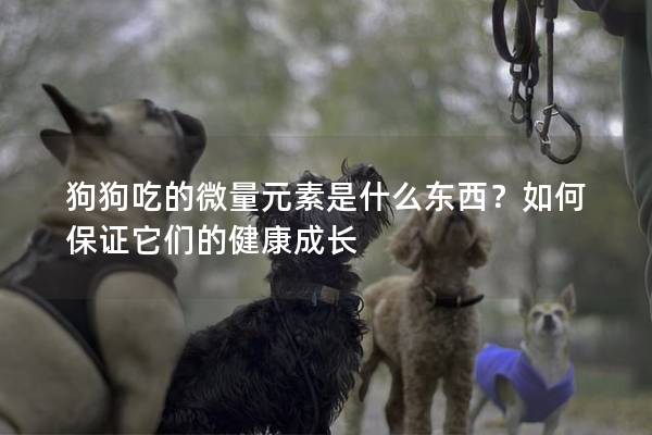 狗狗吃的微量元素是什么东西？如何保证它们的健康成长