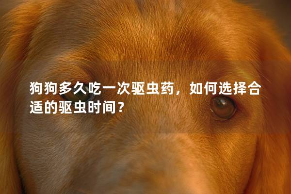 狗狗多久吃一次驱虫药，如何选择合适的驱虫时间？
