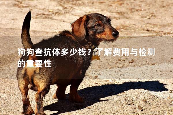 狗狗查抗体多少钱？了解费用与检测的重要性