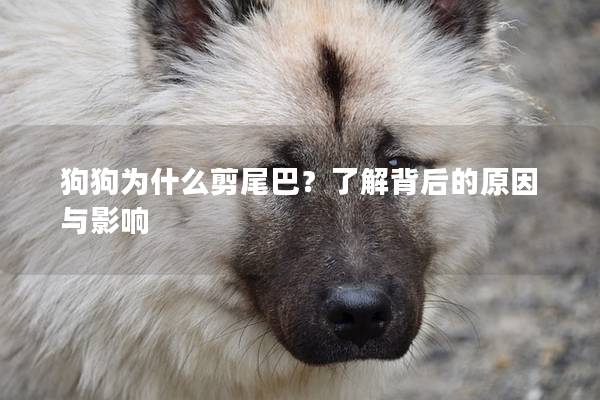 狗狗为什么剪尾巴？了解背后的原因与影响
