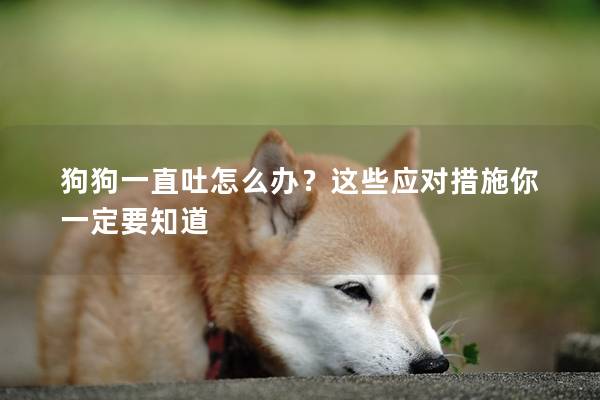 狗狗一直吐怎么办？这些应对措施你一定要知道
