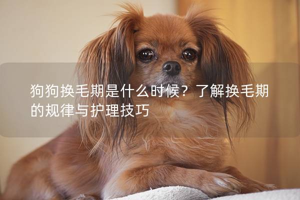 狗狗换毛期是什么时候？了解换毛期的规律与护理技巧
