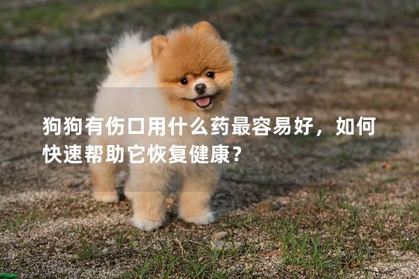 狗狗有伤口用什么药最容易好，如何快速帮助它恢复健康？