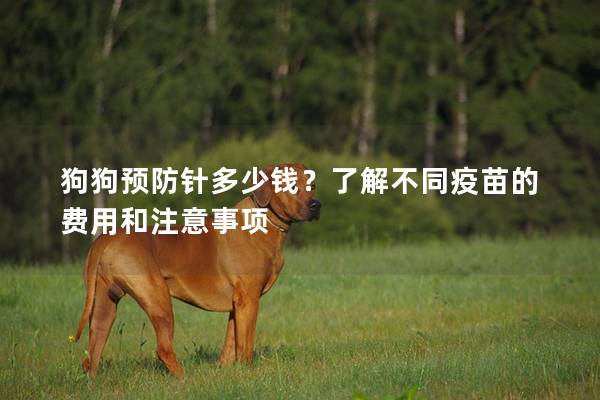 狗狗预防针多少钱？了解不同疫苗的费用和注意事项