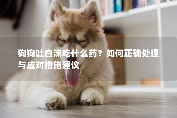 狗狗吐白沫吃什么药？如何正确处理与应对措施建议