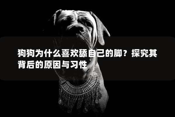 狗狗为什么喜欢舔自己的脚？探究其背后的原因与习性