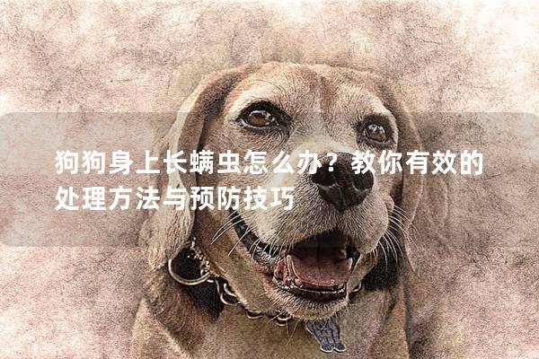 狗狗身上长螨虫怎么办？教你有效的处理方法与预防技巧