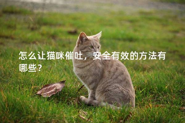 怎么让猫咪催吐，安全有效的方法有哪些？