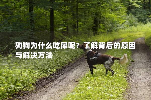 狗狗为什么吃屎呢？了解背后的原因与解决方法