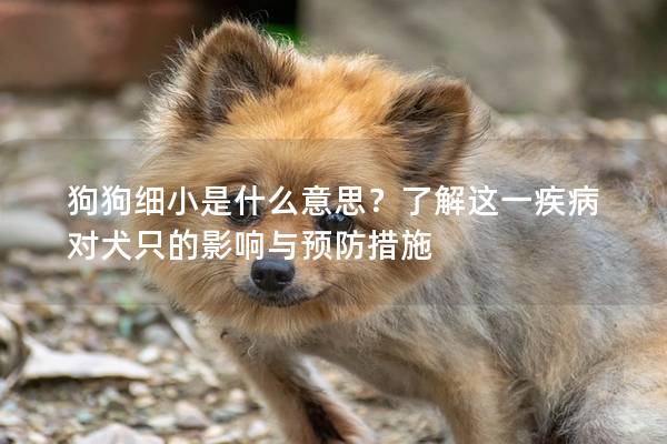 狗狗细小是什么意思？了解这一疾病对犬只的影响与预防措施