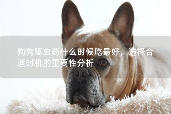 狗狗驱虫药什么时候吃最好，选择合适时机的重要性分析