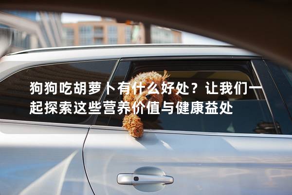 狗狗吃胡萝卜有什么好处？让我们一起探索这些营养价值与健康益处