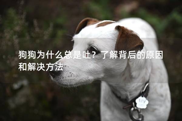 狗狗为什么总是吐？了解背后的原因和解决方法