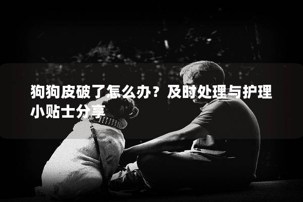 狗狗皮破了怎么办？及时处理与护理小贴士分享