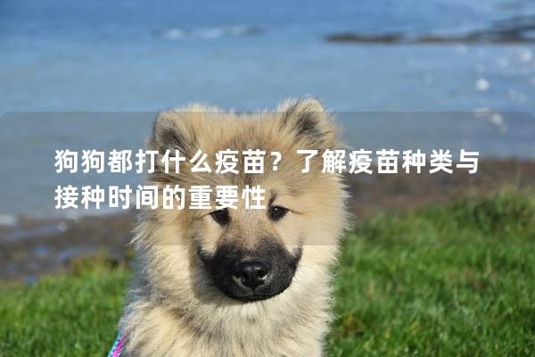 狗狗都打什么疫苗？了解疫苗种类与接种时间的重要性