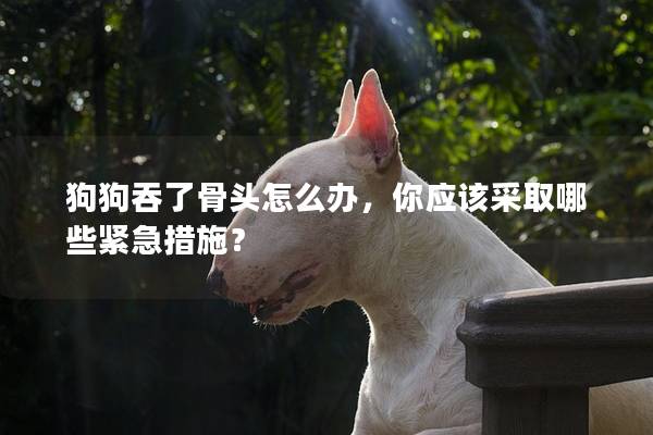狗狗吞了骨头怎么办，你应该采取哪些紧急措施？