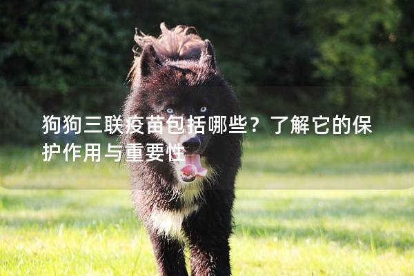狗狗三联疫苗包括哪些？了解它的保护作用与重要性