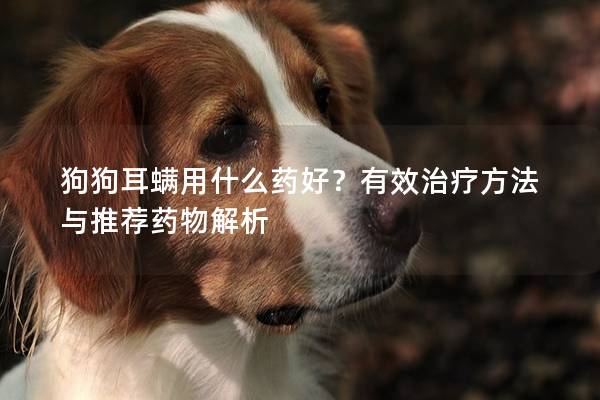 狗狗耳螨用什么药好？有效治疗方法与推荐药物解析