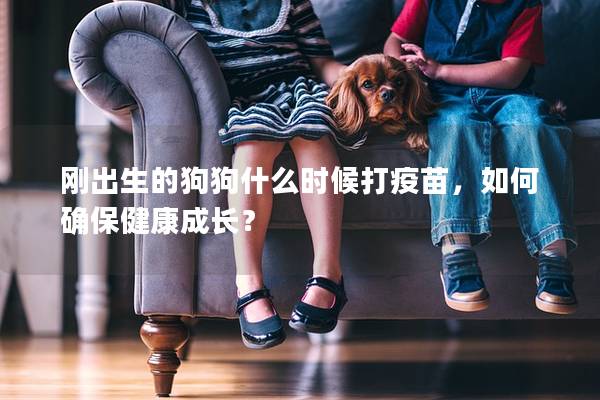 刚出生的狗狗什么时候打疫苗，如何确保健康成长？
