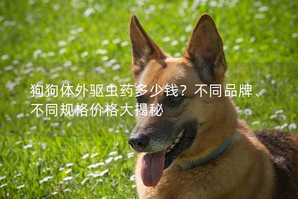 狗狗体外驱虫药多少钱？不同品牌、不同规格价格大揭秘
