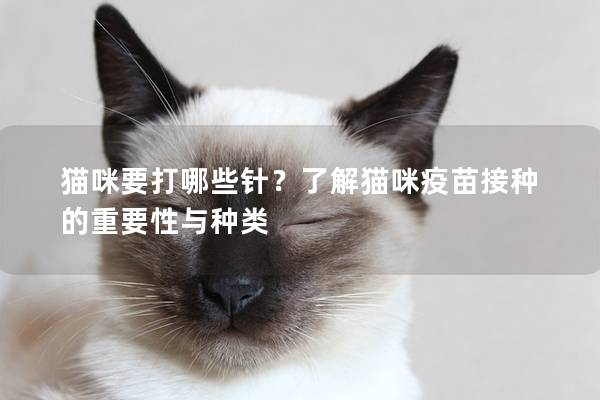 猫咪要打哪些针？了解猫咪疫苗接种的重要性与种类