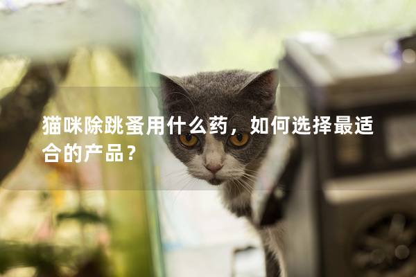 猫咪除跳蚤用什么药，如何选择最适合的产品？