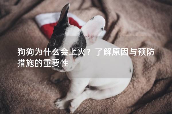 狗狗为什么会上火？了解原因与预防措施的重要性