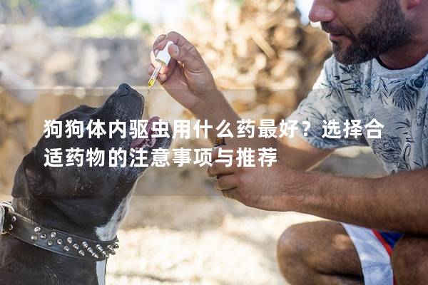 狗狗体内驱虫用什么药最好？选择合适药物的注意事项与推荐