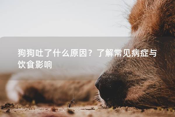 狗狗吐了什么原因？了解常见病症与饮食影响