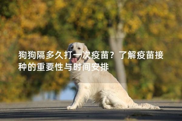 狗狗隔多久打一次疫苗？了解疫苗接种的重要性与时间安排