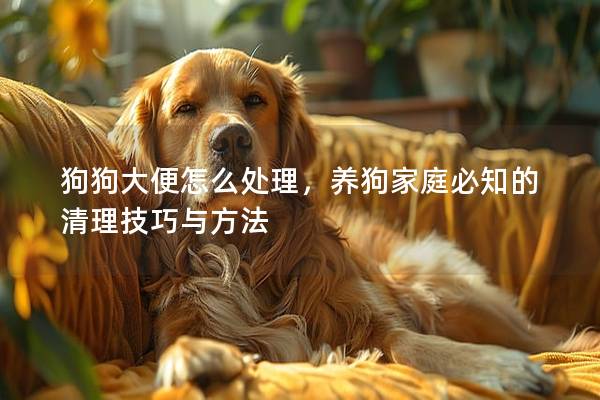 狗狗大便怎么处理，养狗家庭必知的清理技巧与方法