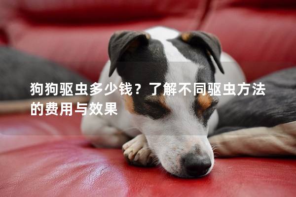 狗狗驱虫多少钱？了解不同驱虫方法的费用与效果