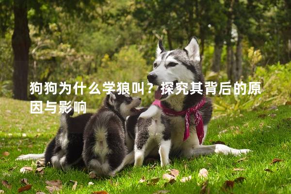 狗狗为什么学狼叫？探究其背后的原因与影响