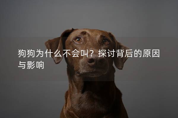 狗狗为什么不会叫？探讨背后的原因与影响