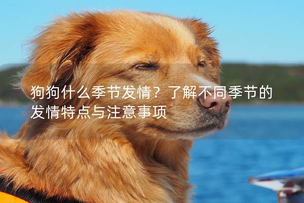 狗狗什么季节发情？了解不同季节的发情特点与注意事项