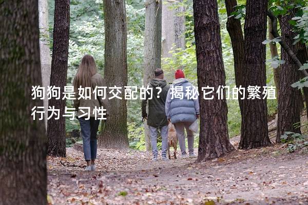 狗狗是如何交配的？揭秘它们的繁殖行为与习性